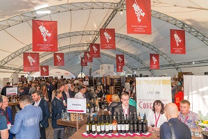 В Абрау-Дюрсо завершился VIII Всероссийский Саммит виноделов В Абрау-Дюрсо завершился VIII Всероссийский Саммит виноделов